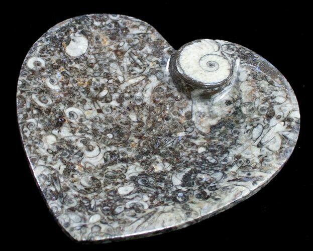 Heart Shaped Fossil Goniatite Dish #8883